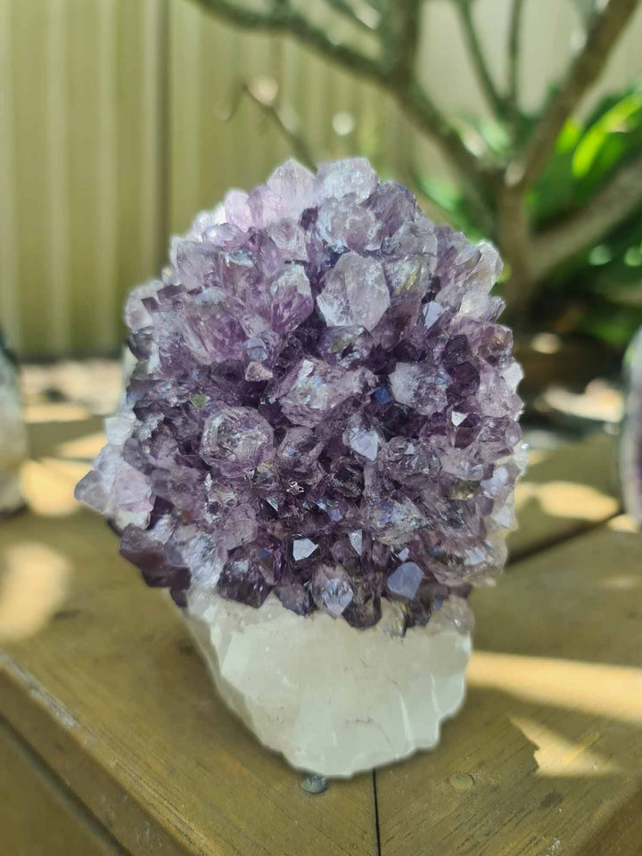Amethyst Cluster 974g-Oddball Crystals