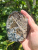 Amethyst Display piece 631g-Oddball Crystals