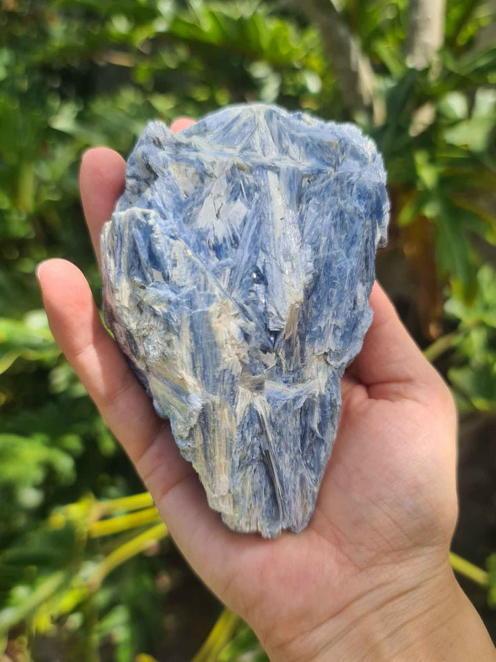 Blue Kyanite 603g-Oddball Crystals
