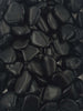 Obsidian Tumbles 250g-Oddball Crystals