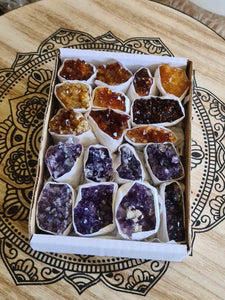 Amethyst and Citrine Clusters Box-Oddball Crystals