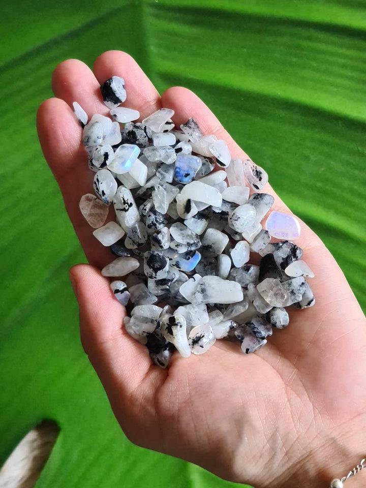 Moonstone Chips - 250 Gram Bag-Oddball Crystals